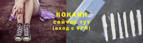 шишки Бронницы