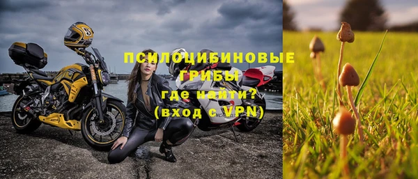 2c-b Бородино
