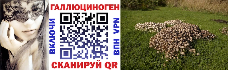 Псилоцибиновые грибы Cubensis Красноперекопск