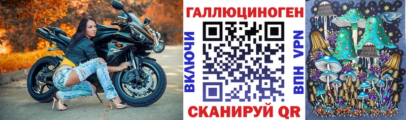 Купить закладки  Красноперекопск  Галлюциногенные грибы Psilocybe 